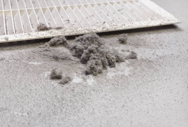 Best Professional Duct Cleaning Services  in Phoenix, IL