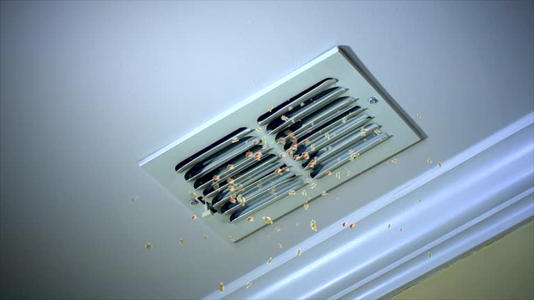 Best Local Air Duct Cleaning Services  in Phoenix, IL