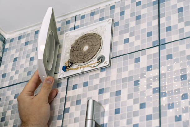 Best Dryer Vent Cleaning Services  in Phoenix, IL