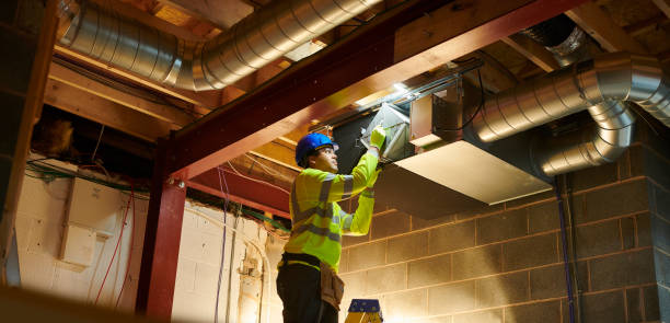 Best Professional Duct Cleaning Services  in Phoenix, IL