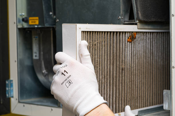 Best Ductwork Cleaning Services  in Phoenix, IL