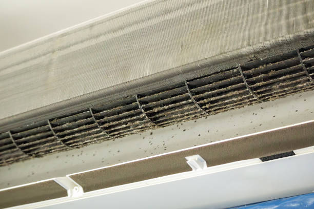Best Best Air Duct Cleaning Near Me  in Phoenix, IL