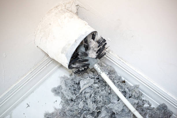 Best Commercial HVAC Duct Cleaning  in Phoenix, IL