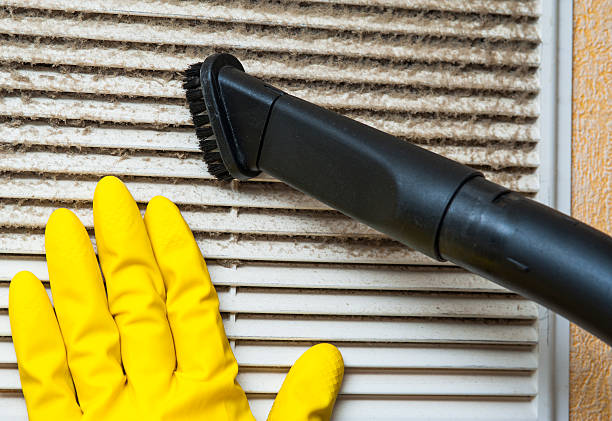 Best HVAC Maintenance and Cleaning  in Phoenix, IL